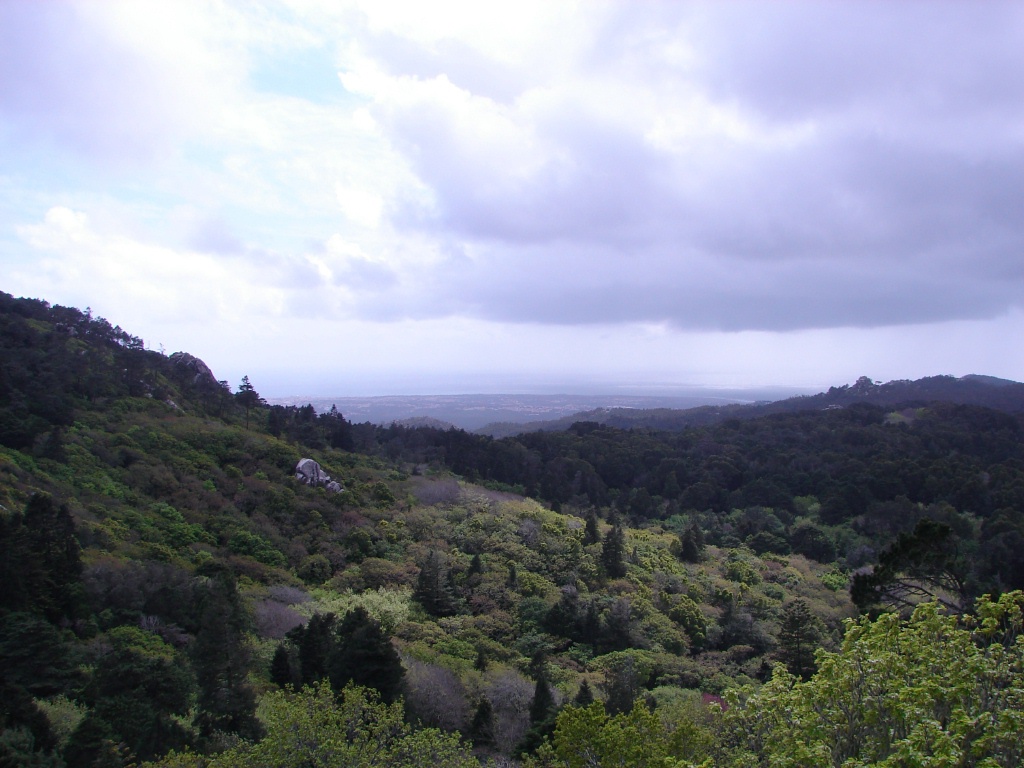 ocean in far distance.jpg